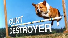 cuntdestroyer.jpg