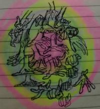 IMG_20211113_225533.jpg IMG_20211113_225533.jpg