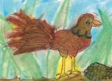 caitlyn-chicken-10.jpg caitlyn-chicken-10.jpg