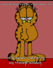 In the normal life.png