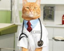 Dr_ Morris.jpg Dr_ Morris.jpg