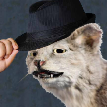 Squeegee.png Squeegee.png