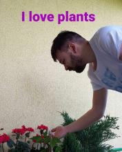 kcroat loves plants.jpg