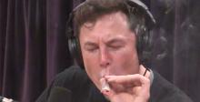 elon-musk-Smokes a Joint.jpg