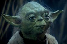 Yoda.jpg