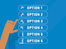 Options Choices.gif