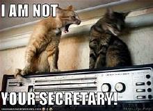 I am not your secretary-1.jpg