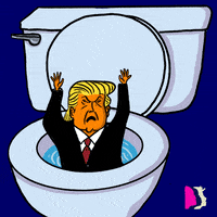 TRUMP FLUSH HIM DOWN.gif