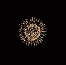 FIREWORKS FIREWORKS-C.gif