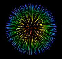 FIREWORKS FIREWORKS-D.gif