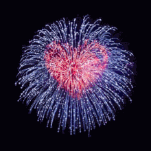 FIREWORKS FIREWORKS-DD.gif
