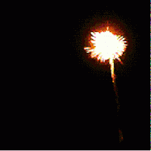 Fireworks-5.gif