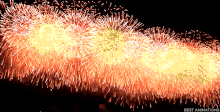 firework-white gif-pic.gif