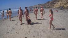 Blacks beach nude guy erect and oth.jpg