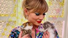 Taylor-Swift-with-her-cats---Photo-.jpg