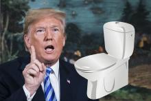 Trump on Flushing water saving toil.jpg