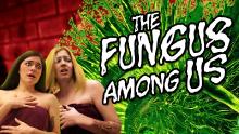 Fungus among us.jpg