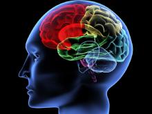 Memory Chicory-extract-found-to-imp.jpg