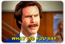 What did you say.jpg