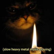 cat music.jpg