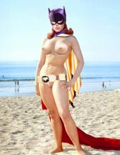 Bat Girl Barbara_Gordon Batgirl Bat.jpg