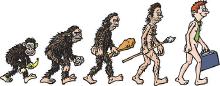 Evolution with humor.jpg
