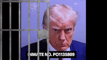 Trump INMATE NUMBER.gif