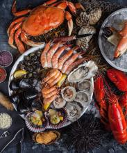 Shellfish Feast Shrimp Crab Lobter .jpg