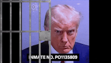 Trump arrested with inmate#.gif