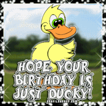 Ducky birthday gif.gif