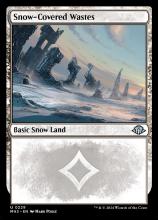 3mh3-229-snow-covered-wastes.jpg