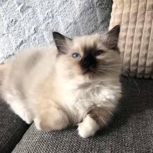 C58898D6-71F4-4DAD-B03C-3B2B25D5FDB.jpg C58898D6-71F4-4DAD-B03C-3B2B25D5FDB.jpg