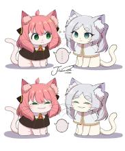 2024cats.jpg