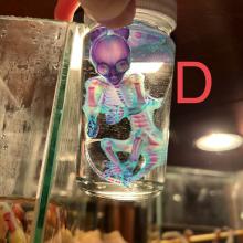 IMG_1907.jpg IMG_1907.jpg