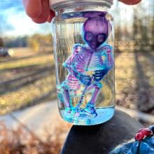 CD686CCC-B3F8-4359-A40A-FEA20959308.jpg CD686CCC-B3F8-4359-A40A-FEA20959308.jpg