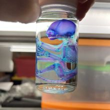 img_1923-scaled.jpg img_1923-scaled.jpg