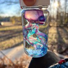 F26070C5-DA23-4046-94EC-F82219E650B.jpg F26070C5-DA23-4046-94EC-F82219E650B.jpg