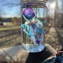 img_1876-1-scaled.jpg img_1876-1-scaled.jpg