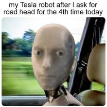 bot1.jpg