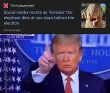 6598449-1b2569d7728b1b196d2716a8a44.mp4