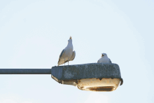 Dek1780420185718558720.gif Dek1780420185718558720.gif