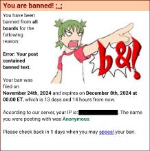 Banned from 4chan for posting a Kiw.jpg