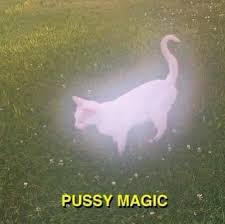 PUSSY MAGIC.jpg