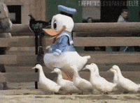 Duck Donald Duck walking with frien.gif