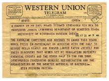 telegram 1958.jpg