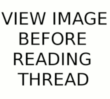 bottest78.gif bottest78.gif