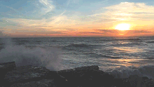 CALIFORNIA DREAMING.gif