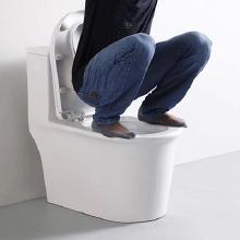 hybrid-toilet2.jpg