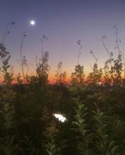 Snaptik_app_742716841469256017414.jpg Snaptik_app_742716841469256017414.jpg