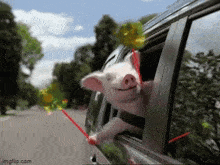 geico-pinwheel.gif
